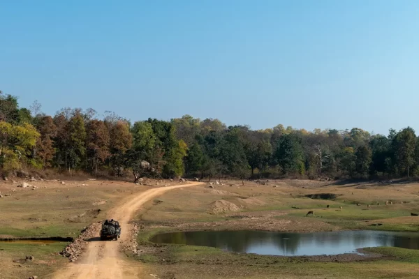 5 Offbeat Things To Do in Pench