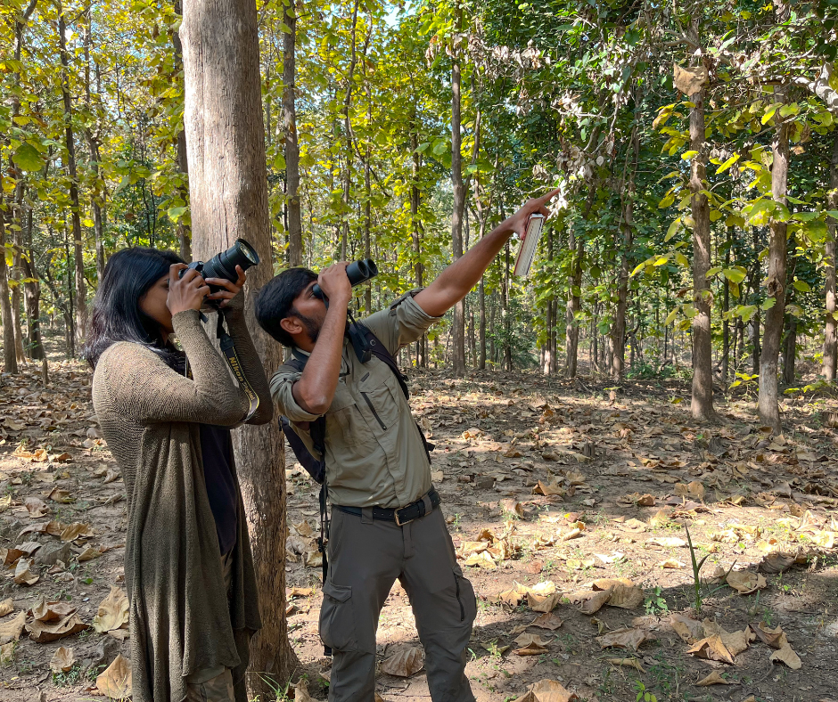 bird sighting activities Rukhad