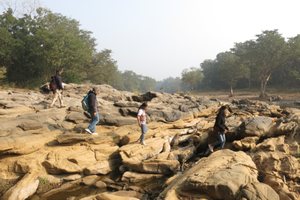 Kanha’s Green Trails: Unveiling the Ultimate Hiking and Trekking Adventures