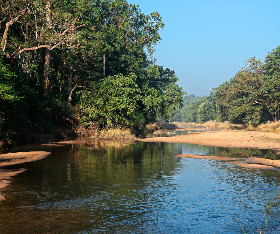 Kanha National Park, places to visit near Pench Jungle Camp