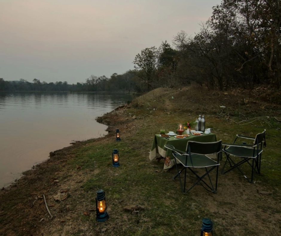 Pench Jungle Camp