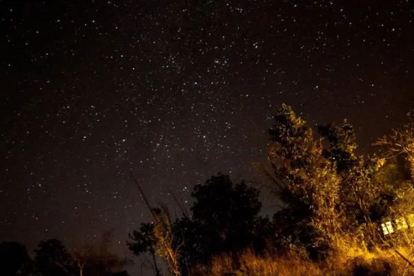 Star Bed: Sleep Under the Stars at Pench Jungle Camp