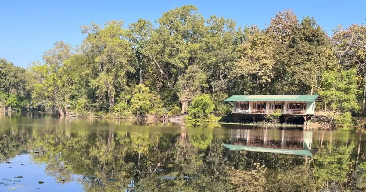 Tadoba jungle camp