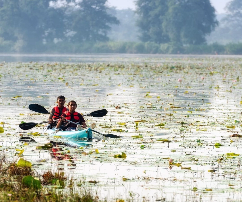 Tadoba Jungle Camp