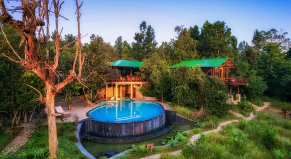 Kanha Jungle Camp