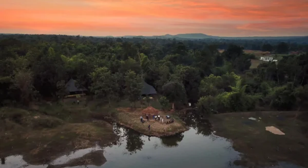 Safari by Day, Stars by Night: A Dreamy Stay at Pench Jungle Camp