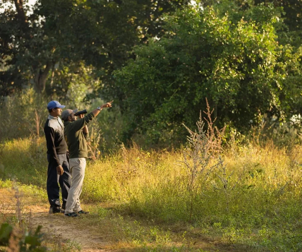 Guided Nature And Birding Trails