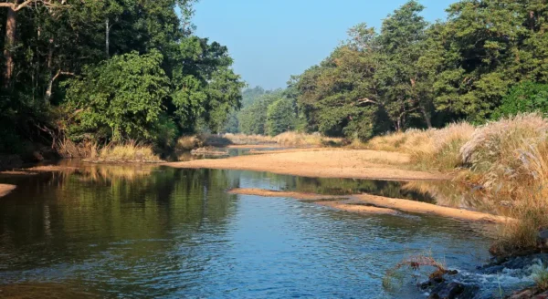 Lesser Known Facts About Kanha National Park