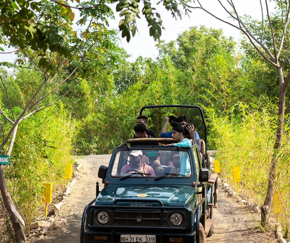 Tadoba Jungle Camp