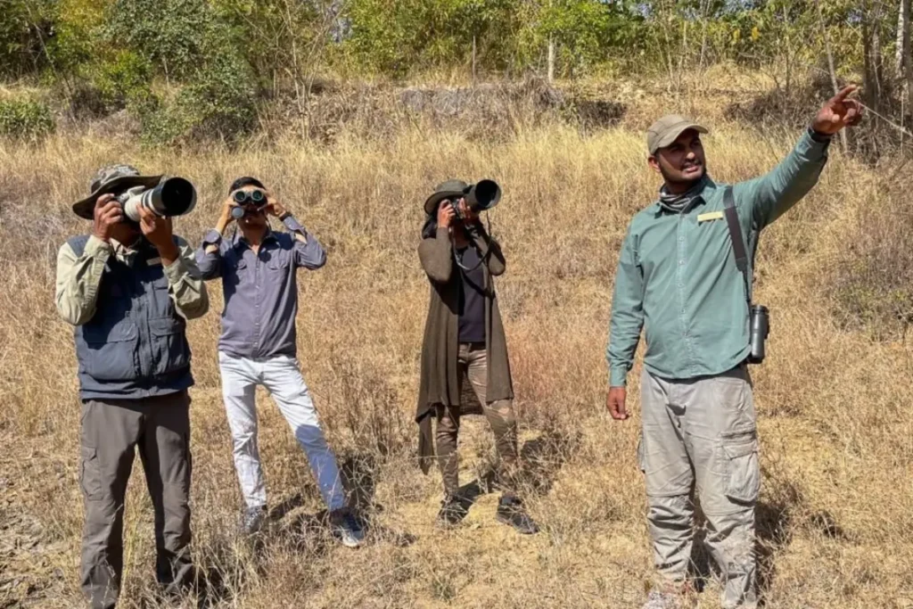 Tadoba Jungle Camp