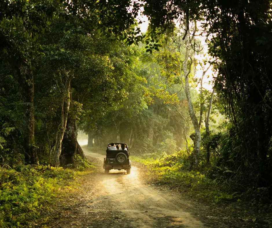 Rukhad Jungle Camp Resort