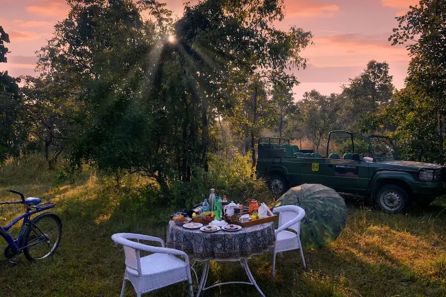 Pench Jungle Camp Resort
