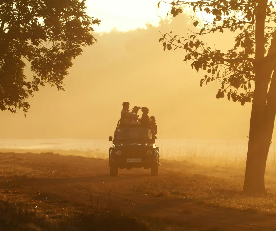 Rukhad Jungle Camp