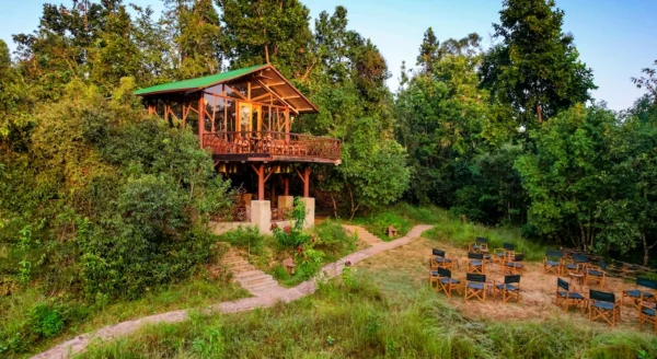 Kanha Jungle Camp: A Nature Lover’s Paradise in the  Heart of India