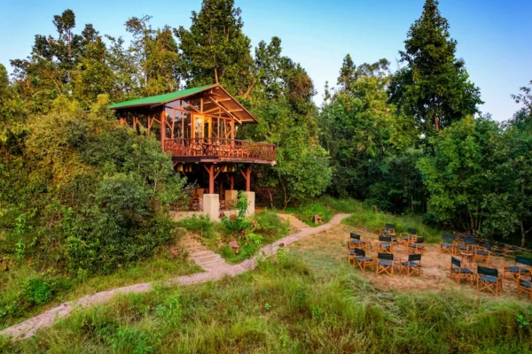 Kanha Jungle Camp: A Nature Lover’s Paradise in the  Heart of India