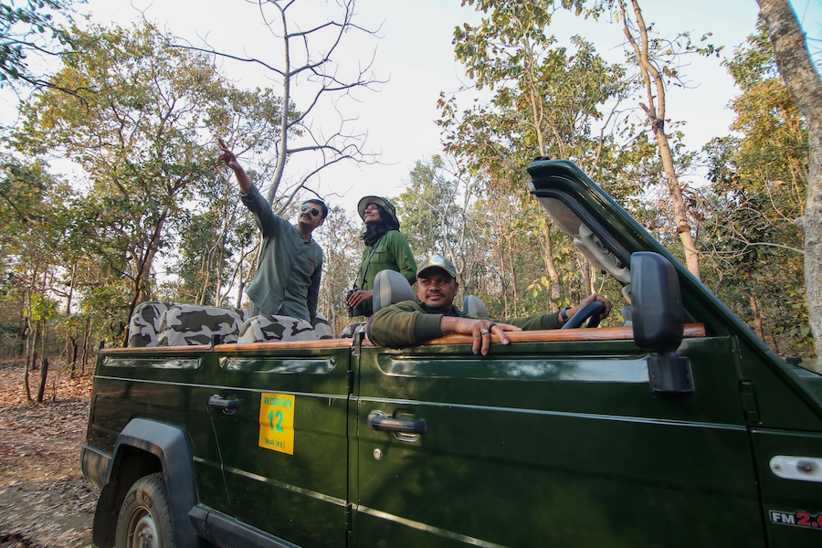 Safari at Pench Jungle Camp