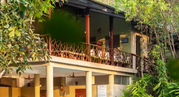 From Local Delicacies to Safari Adventures: Kanha Jungle Camp Resort for the Perfect Vacation