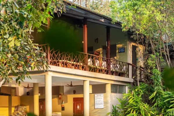 From Local Delicacies to Safari Adventures: Kanha Jungle Camp Resort for the Perfect Vacation