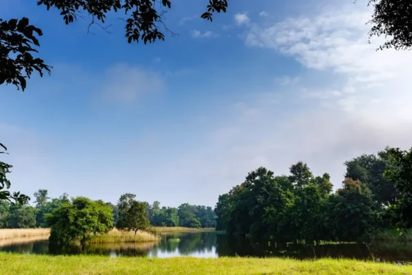 The Tadoba Jungle Camp Adventure: Unveil the Majesty of India’s Iconic Wildlife