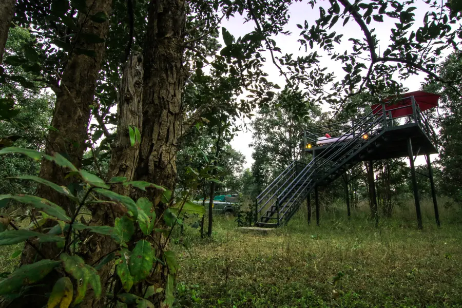 Pench Jungle Camp 