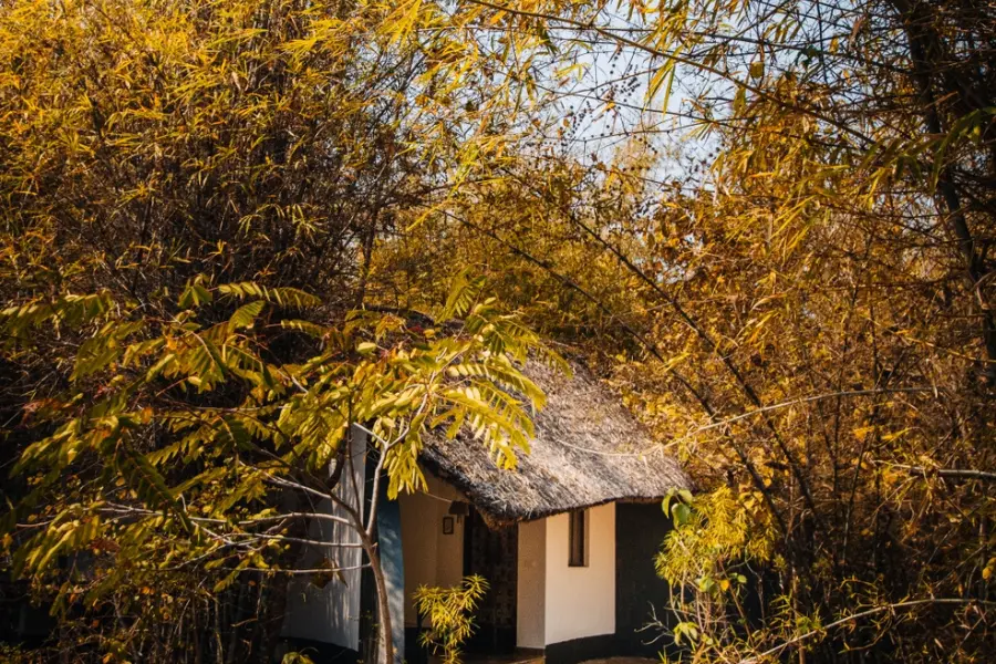 Tadoba Jungle Camp