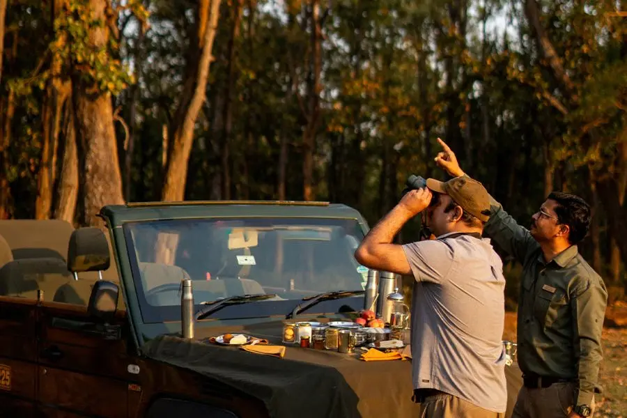 Kanha Jungle Camp