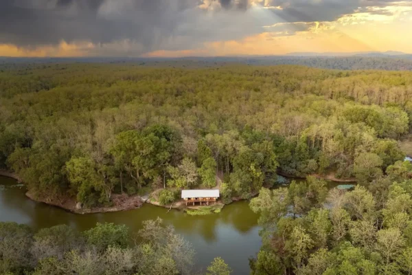 From Campfire Stories to Morning Walks: Discover the Authentic Jungle Experience at Rukhad Jungle Camp