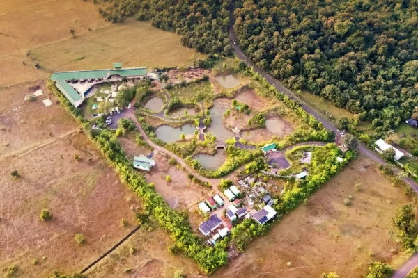 Plan Your Perfect Summer Wildlife Getaway at Tadoba Jungle Camp