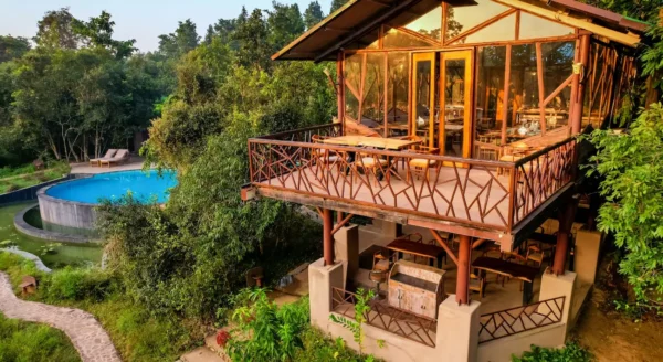 From Local Delicacies to Safari Adventures: Jungle Camps Resort in Kanha for the Perfect Vacation