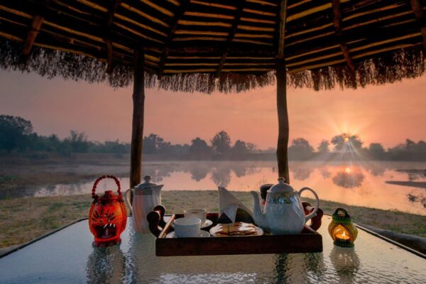 Luxury in the Lap of Nature: What to Expect from Your Stay at Pench Jungle Camp