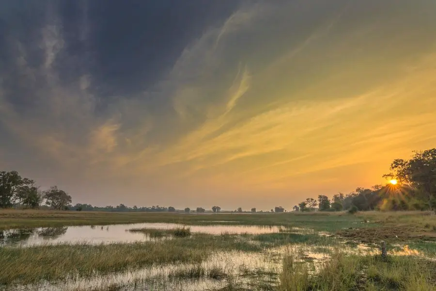 Tadoba Jungle Camp