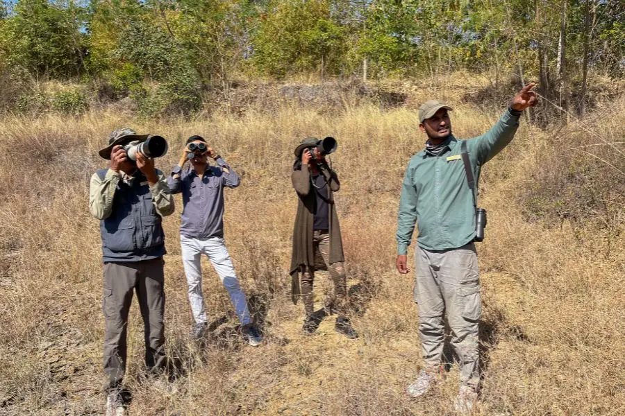 Tadoba Jungle Camp