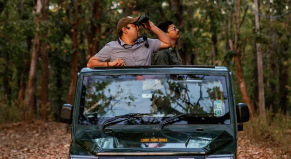 5 Wildlife Wonders to Watch as the Monsoon Arrives at Kanha Jungle Camp