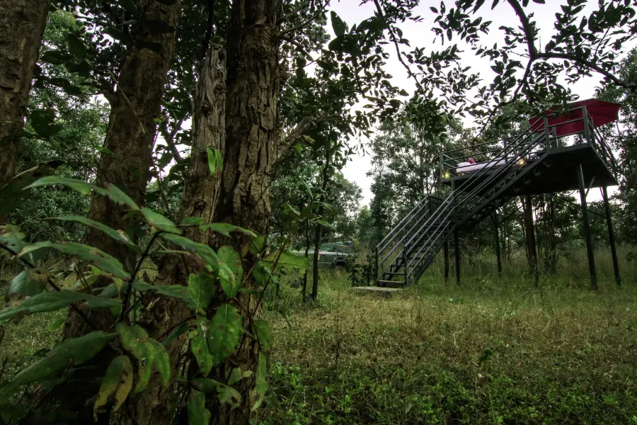 Pench Jungle Camp