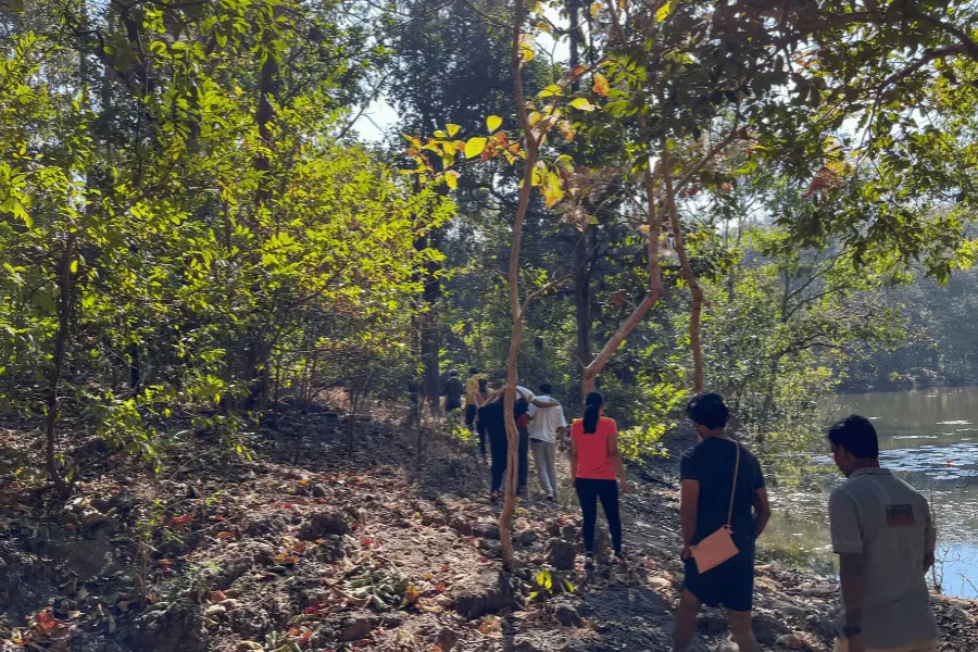 Rukhad Jungle Camp