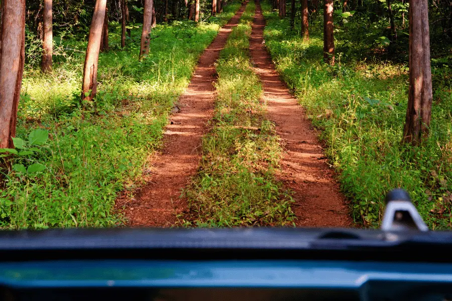 Tadoba Jungle Camp