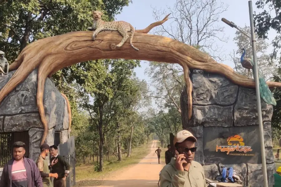 Entrance gate of Mogarkasa Safari Zone featuring carved wildlife designs, forest road, and visitors at the gate.